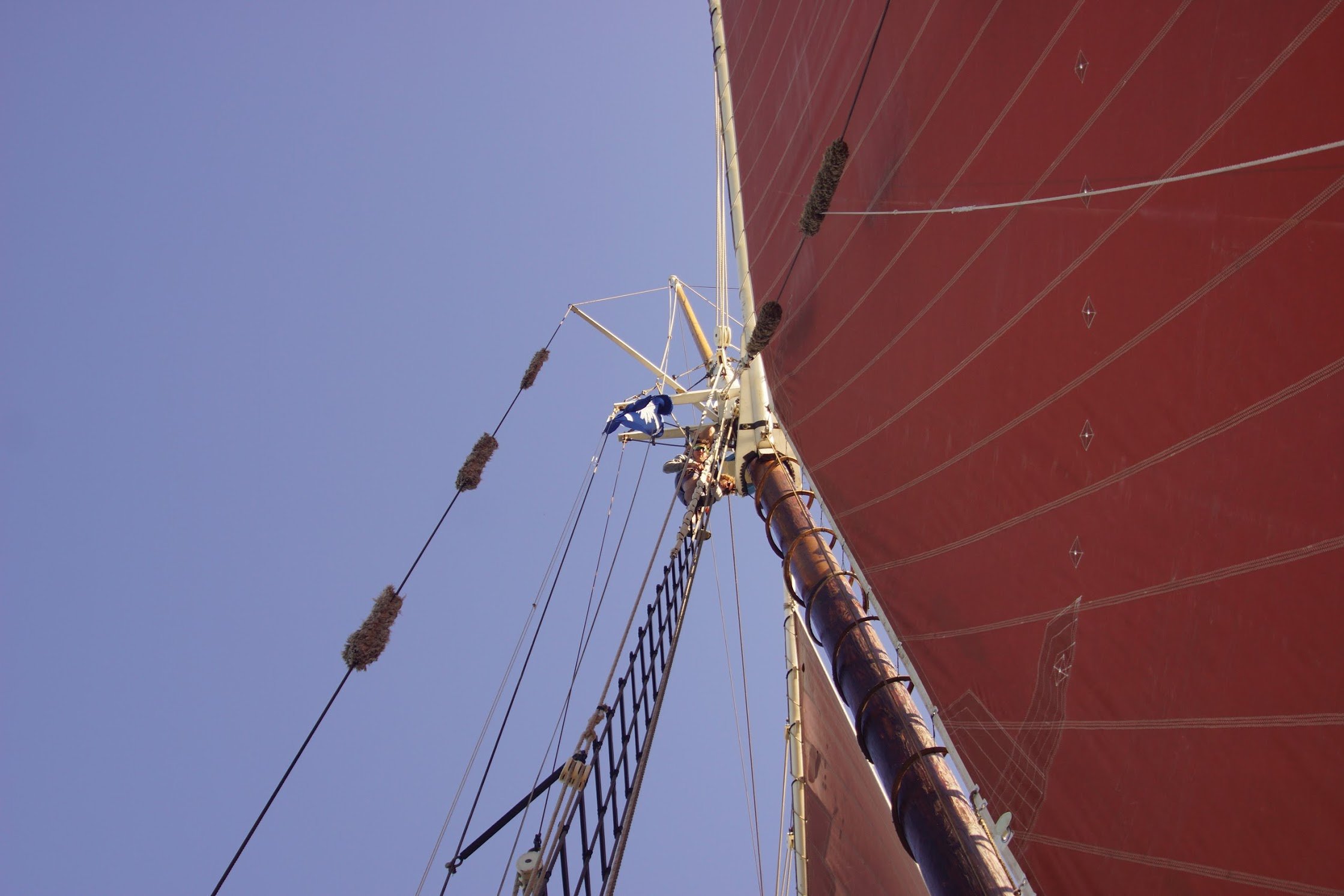 Ocean Classroom: Why We Send Kids to Sea